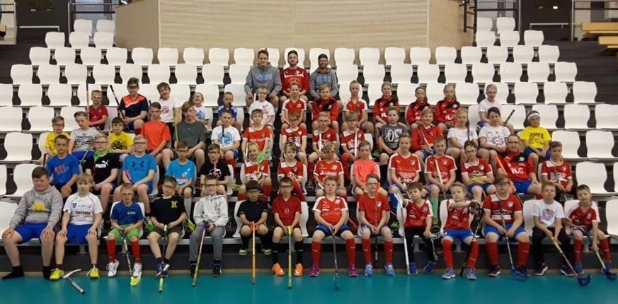 spv-kesaleiri-2016