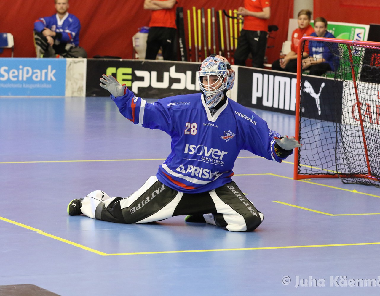 Jape_2015-16